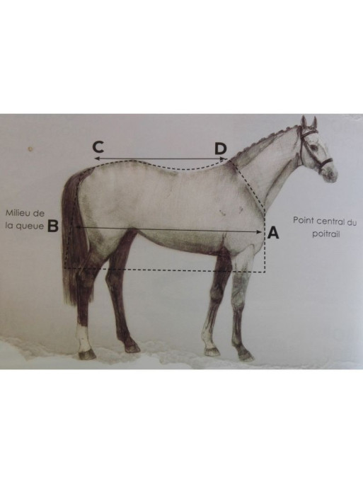 Séchante Rambo airmax Cooler Horseware Séchante Rambo airmax Cooler Horseware