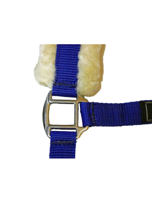 Licol en mouton Stocklot HKM Licol en mouton Stocklot HKM