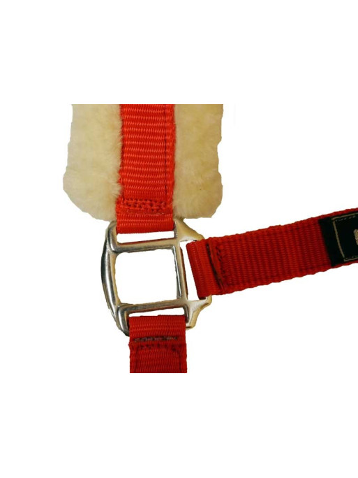 Licol en mouton Stocklot HKM Licol en mouton Stocklot HKM