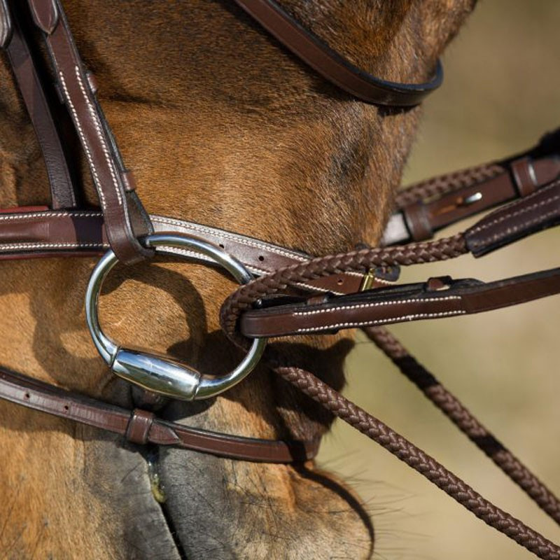 Rênes Allemandes Corde et cuir Rope HFI