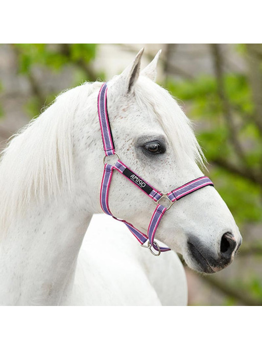 Licol Amigo Horseware Licol Amigo Horseware