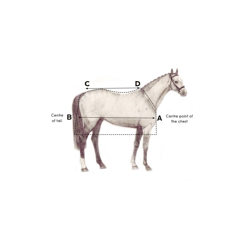 Couverture cheval Horseware Amigo Bravo 12 Original