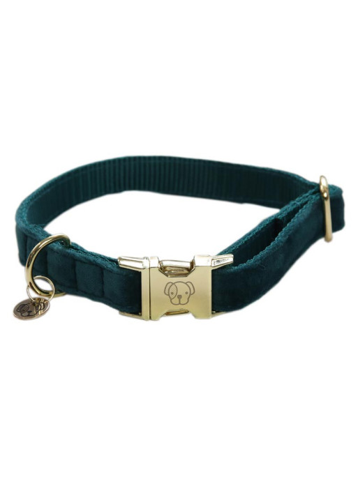 Collier chien velour Velvet Kentucky Collier chien velour Velvet Kentucky