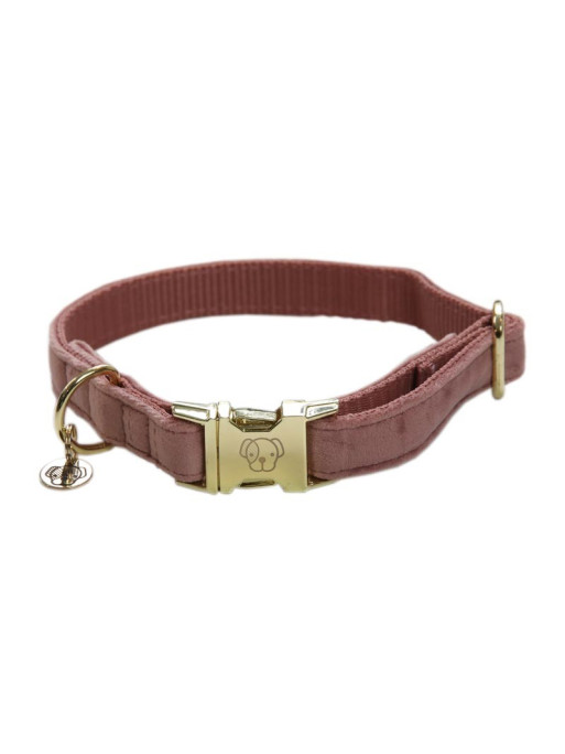 Collier chien velour Velvet Kentucky Collier chien velour Velvet Kentucky