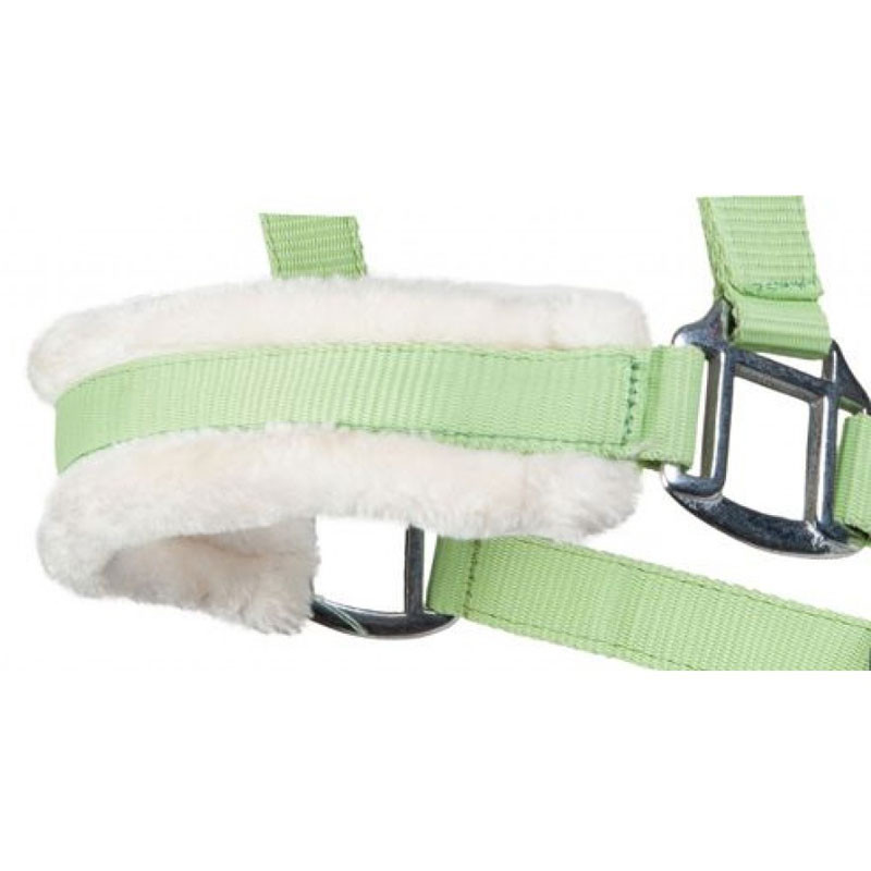Licol en mouton Stocklot HKM