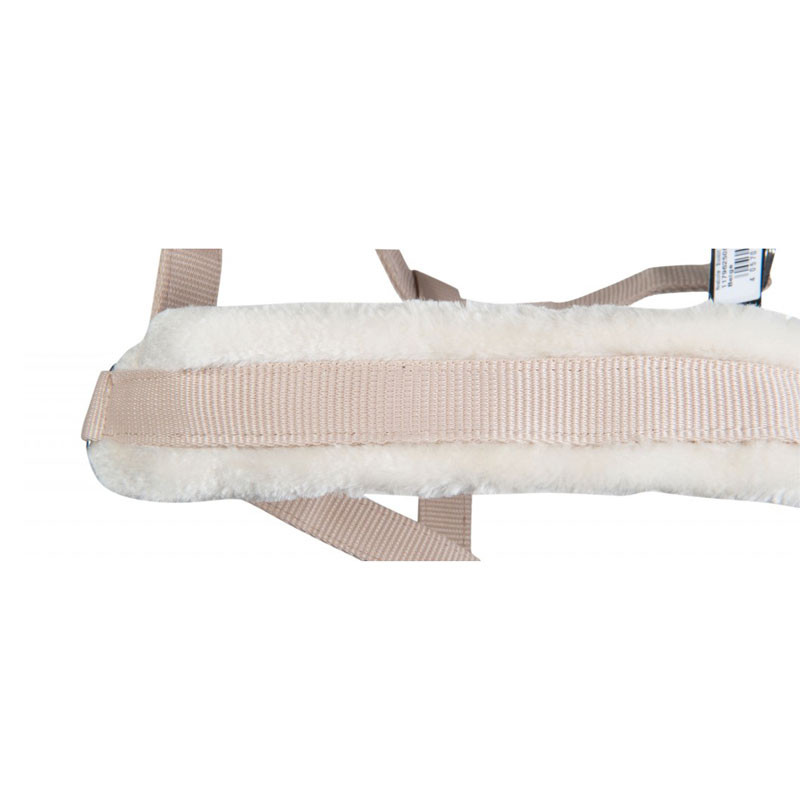 Licol en mouton Stocklot HKM