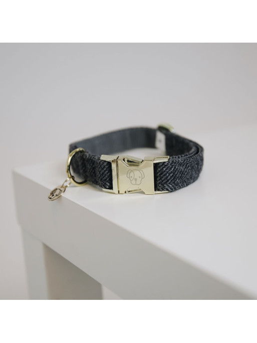 Collier pour chien wool Kentucky Collier pour chien wool Kentucky