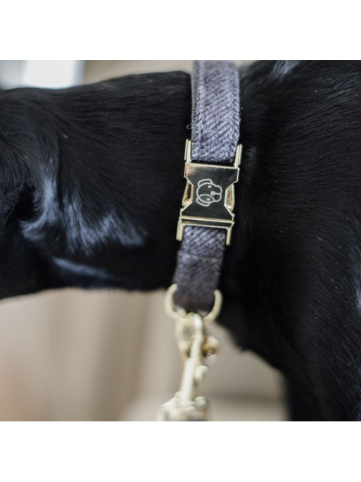 Collier pour chien wool Kentucky Collier pour chien wool Kentucky