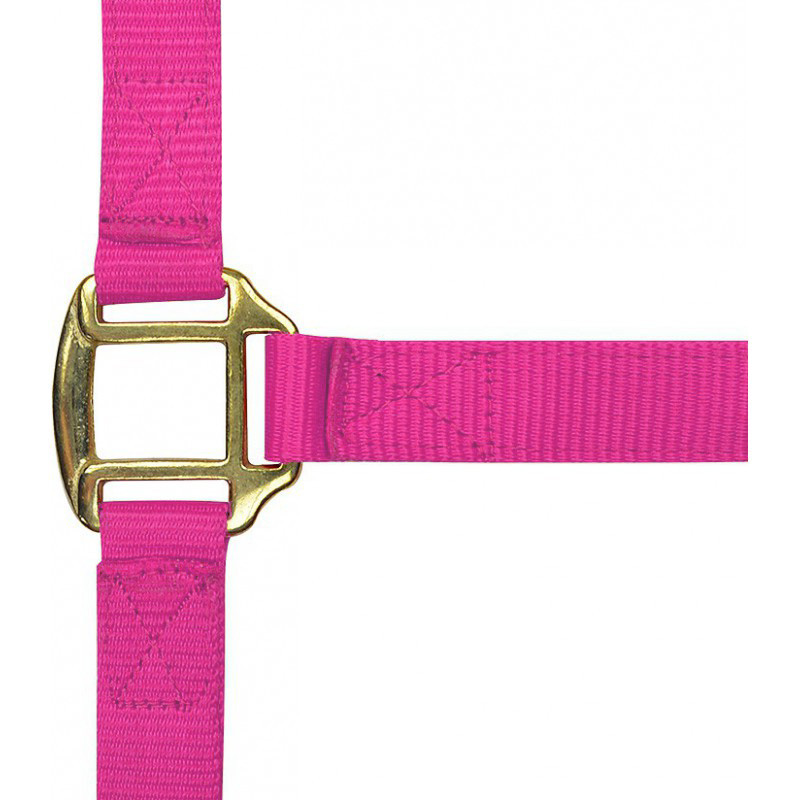 Licol nylon doublé cuir