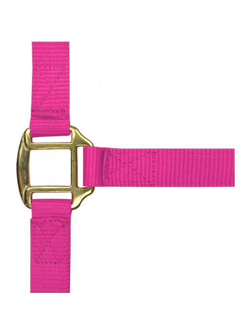 Licol nylon doublé cuir