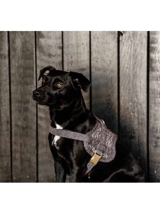 Harnais pour chien Body Safe Kentucky Harnais pour chien Body Safe Kentucky