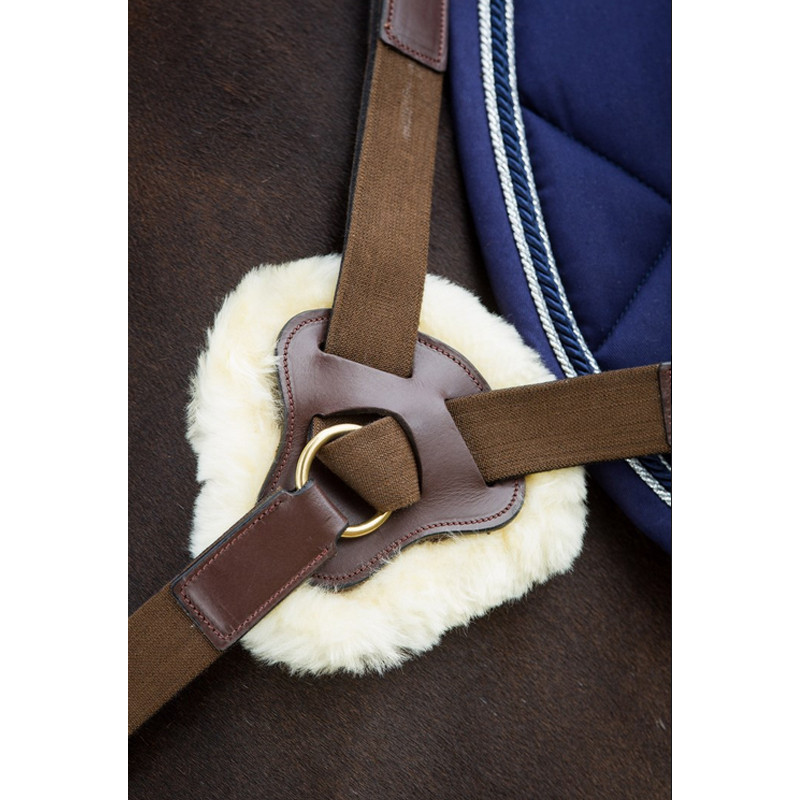 Collier de chasse 5 points HFI