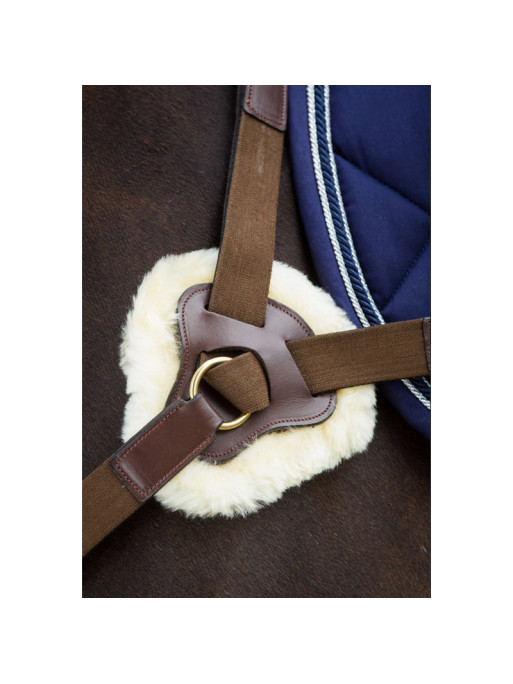 Collier de chasse 5 points HFI Collier de chasse 5 points HFI