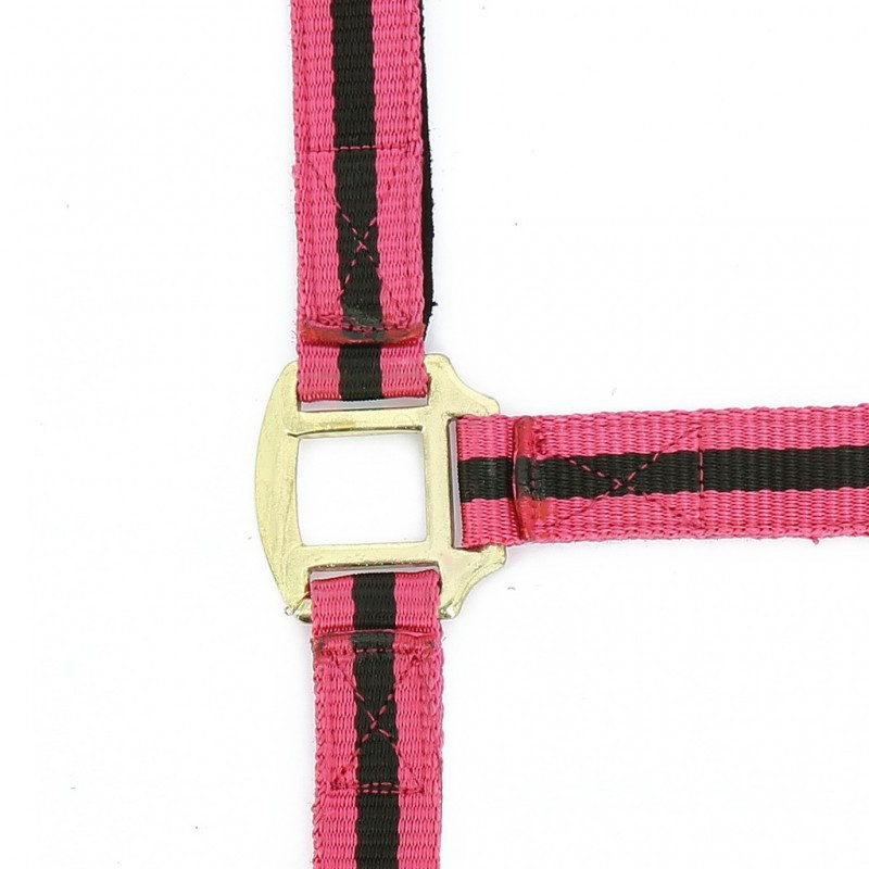 Licol nylon doublé cuir