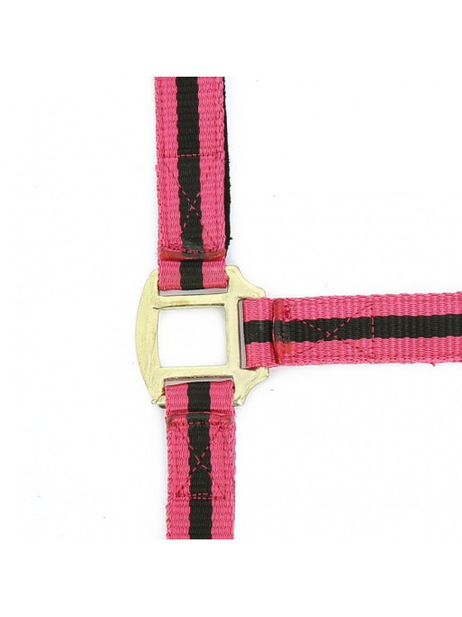 Licol nylon doublé cuir