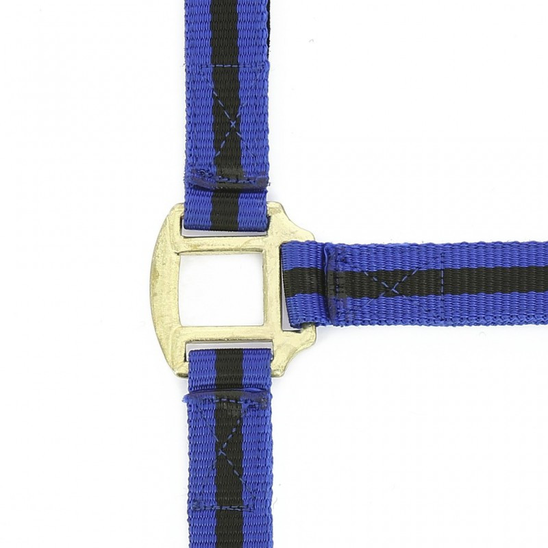 Licol nylon doublé cuir