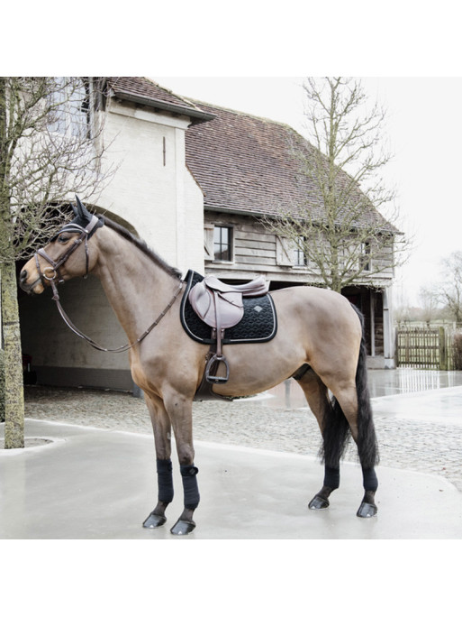 Bandes de polo Basic Velvet bleu marine Kentucky