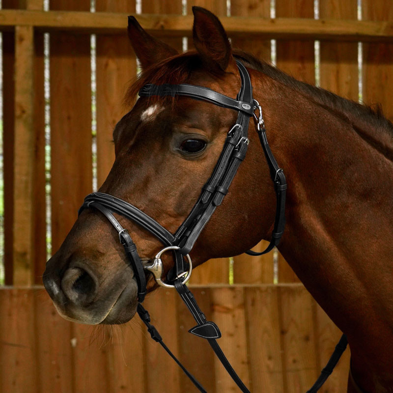 Bridon Dyon muserolle combinée Fancy