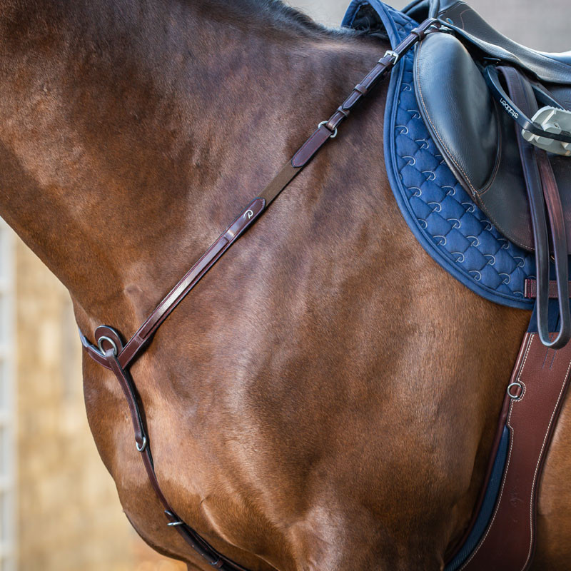Collier de chasse Fancy "New English Collection" Dy'on