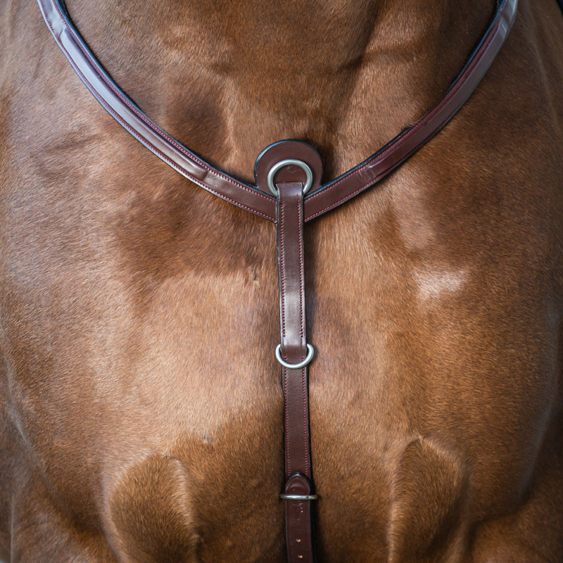 Collier de chasse Fancy "New English Collection" Dy'on
