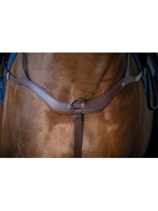 Collier de chasse anatomique "New English Collection" Dy'on