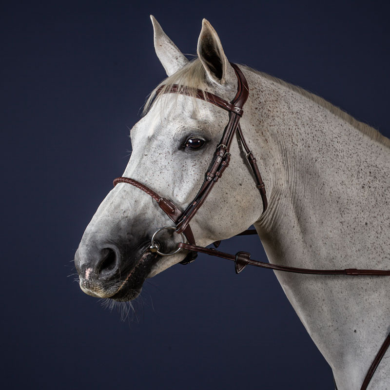 Bridon muserolle corde recouverte de cuir "New English Collection" Dy'on