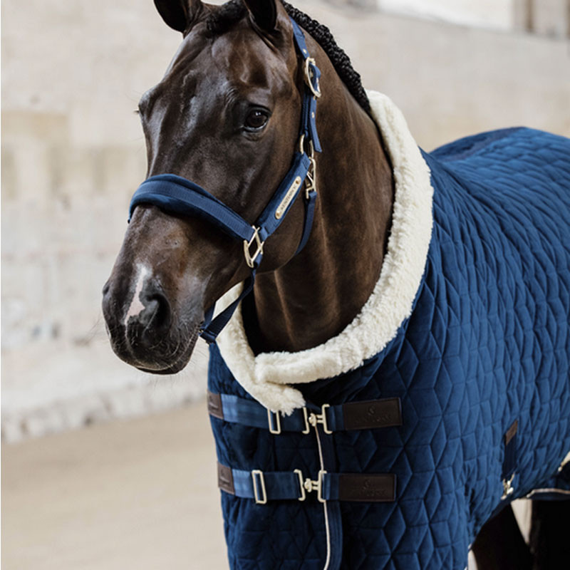 Licol Velvet Kentucky marine 2