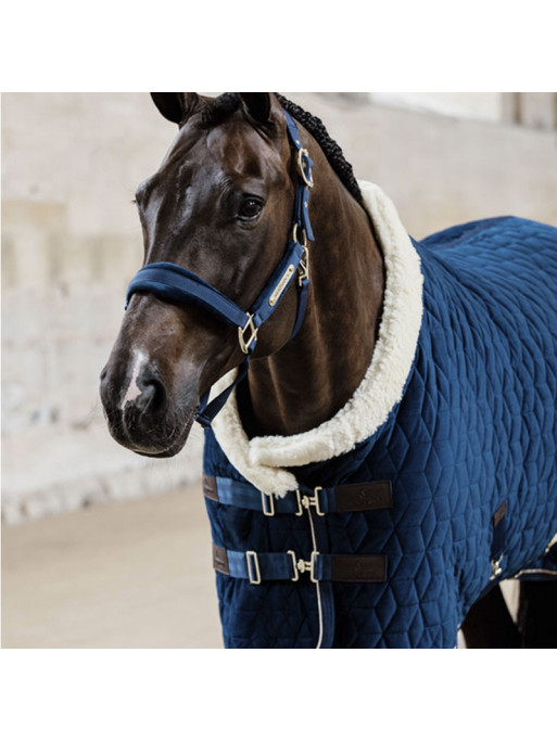 Licol Velvet Kentucky marine 2