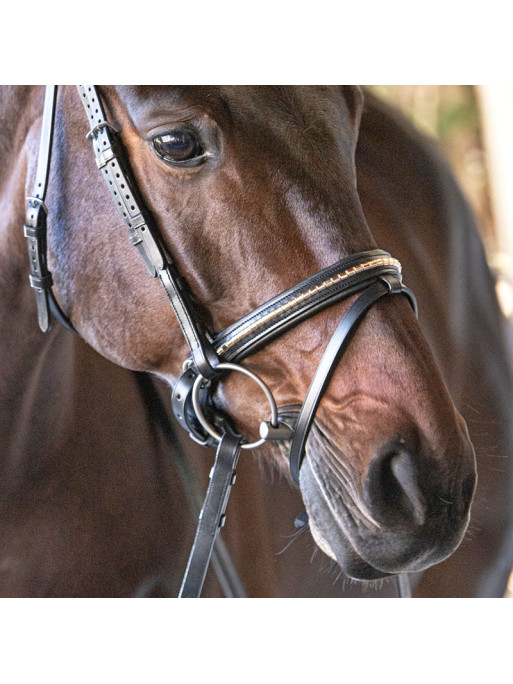 Muserolle combinée clincher doré Equiline portée 1