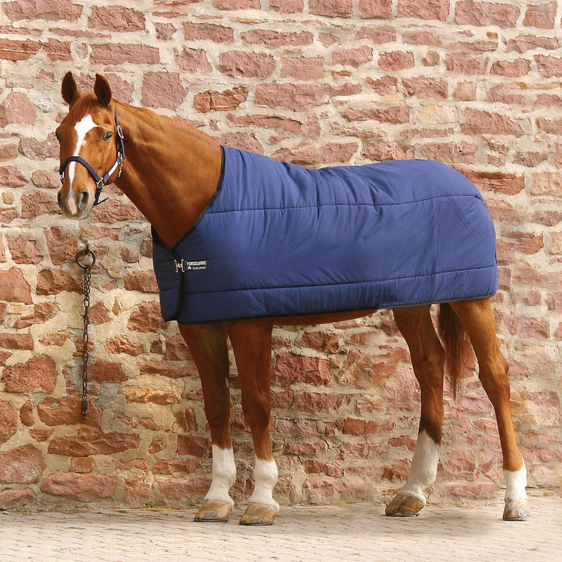 Sous-couverture Underblanket 300g Horseware