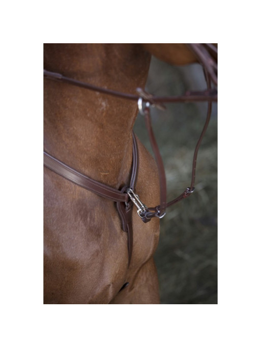 Collier de chasse Norton Pro détails 1 Collier de chasse Norton Pro détails 1