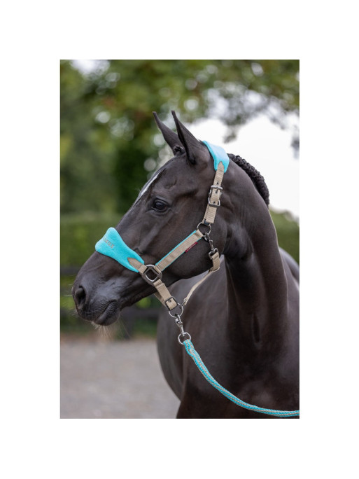 Licol + longe Vogue Fleece LeMieux Azur 2 Licol + longe Vogue Fleece LeMieux Azur 2