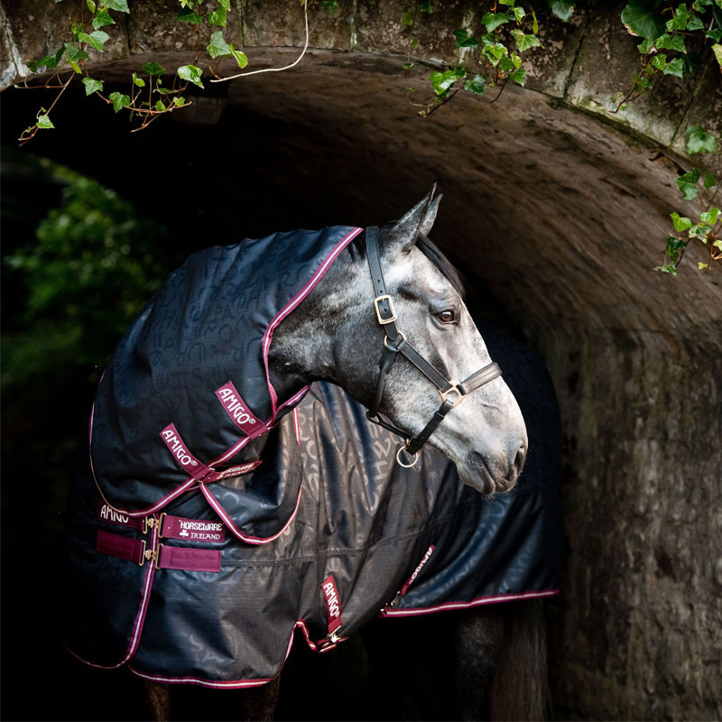 Couverture Amigo Hero Plus Lite 0g Horseware 1