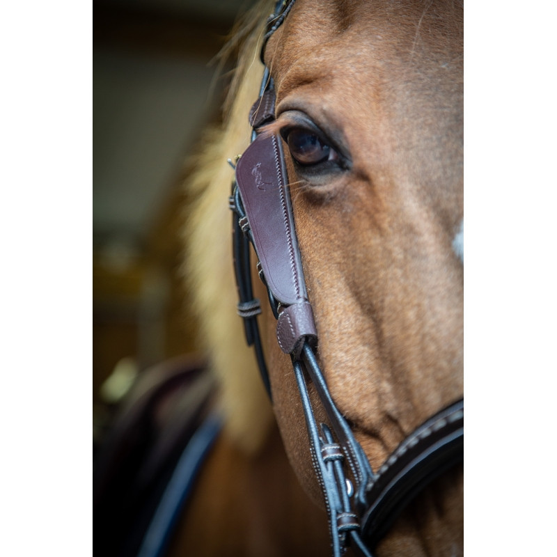 Oeillères Blinkers Pénélope havane 1