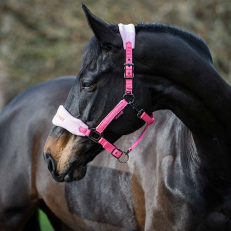 Licol + longe Vogue Fleece LeMieux