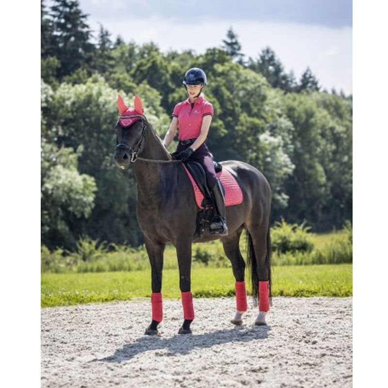 Bandes de polo Luxury LeMieux