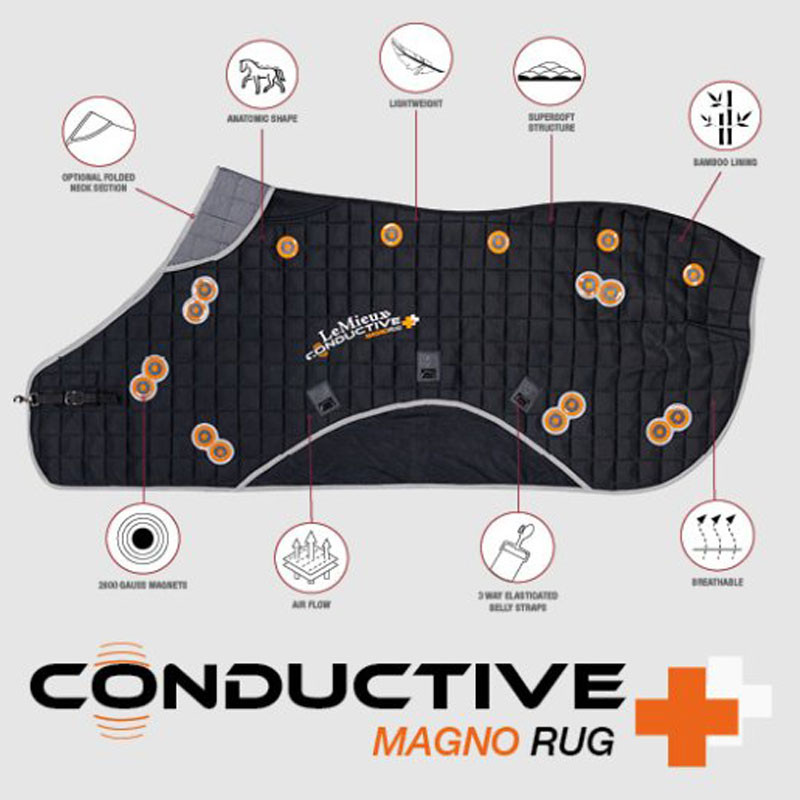 Couverture thérapeutique Conductive Magno Rug LeMieux 1