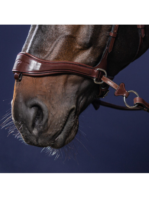 Bridon D Motion "New English Collection" Dy'on Bridon D Motion "New English Collection" Dy'on