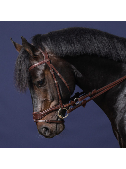 Bridon D Motion "New English Collection" Dy'on Bridon D Motion "New English Collection" Dy'on