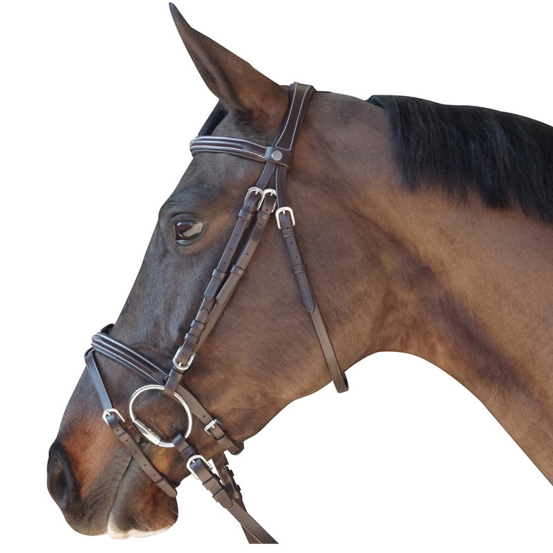 Bridon surpiqué Canter marron