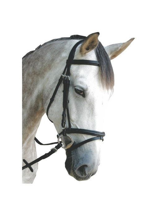 Bridon Royan Privilège Equitation noir Bridon Royan Privilège Equitation noir
