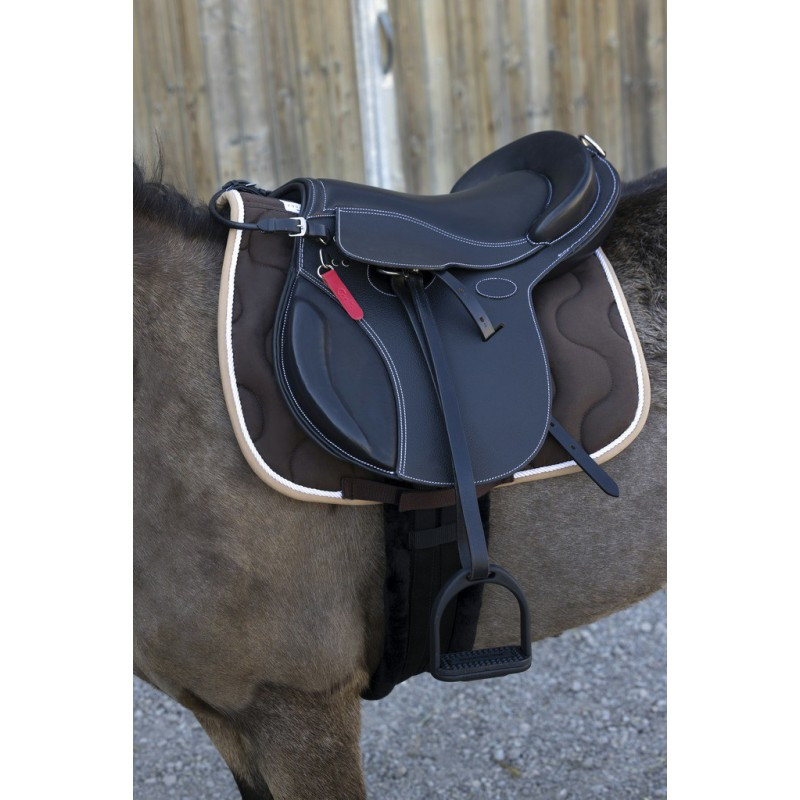 Selle Evolution jumping Guy Cantin