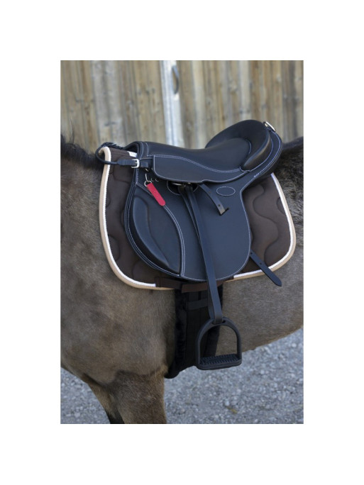 Selle Evolution jumping Guy Cantin Selle Evolution jumping Guy Cantin
