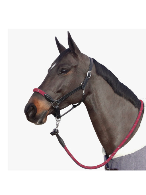 Licol corde Canter bordeaux / noir Licol corde Canter bordeaux / noir