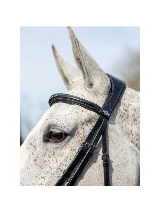 Bridon Competition LeMieux Bridon Competition LeMieux