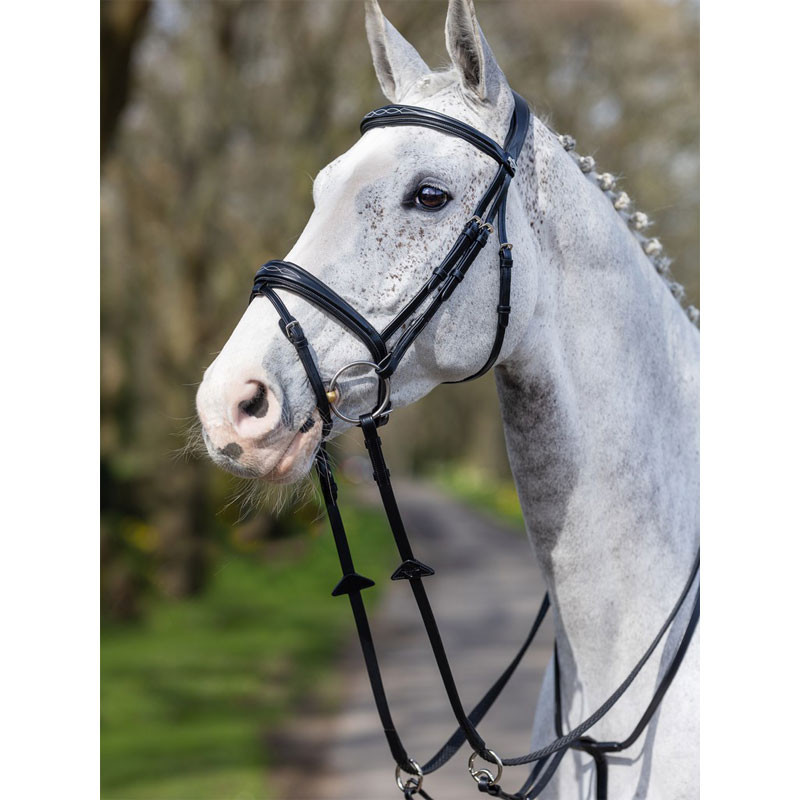 Bridon Competition LeMieux