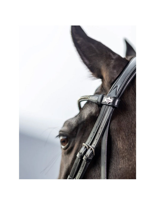 Bridon dressage Classic LeMieux