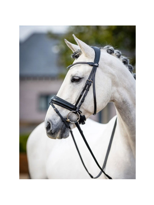 Bridon dressage Classic LeMieux