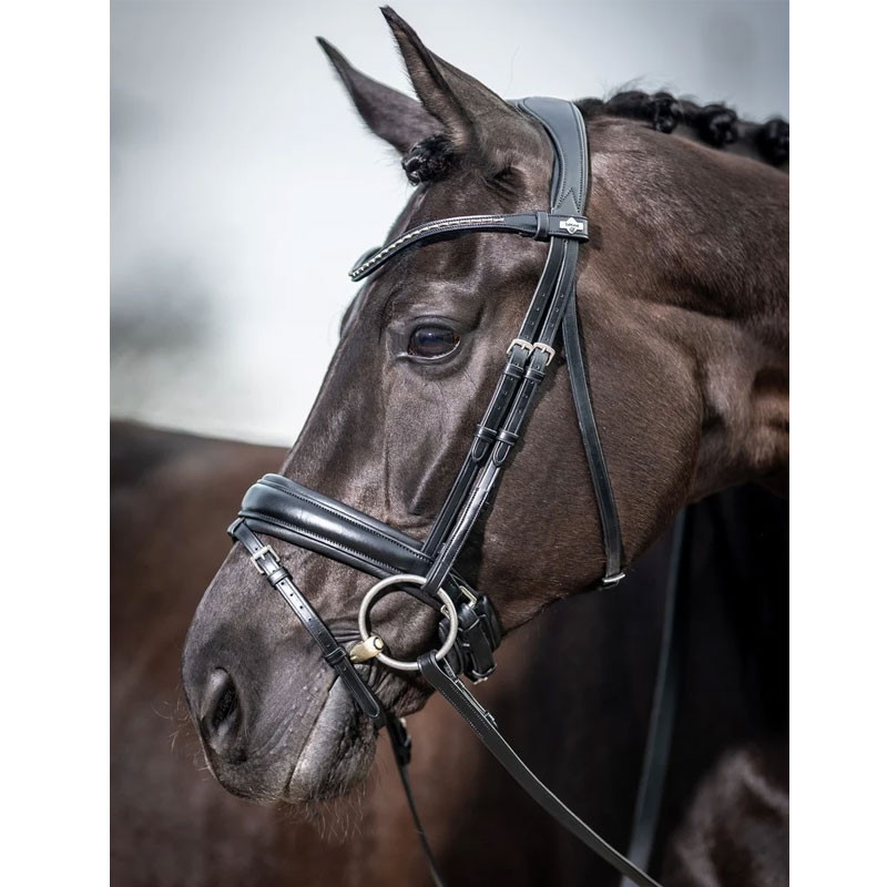 Bridon dressage Classic LeMieux