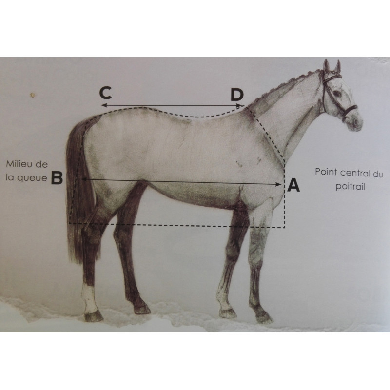 Couverture Rambo Optimo 0g Turnout Horseware 